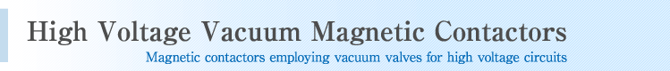 High Voltage Vacuum Magnetic Contactors